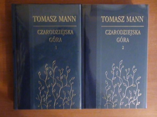 Czarodziejska góra T. I-II