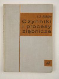 Czynniki i procesy ziębnicze