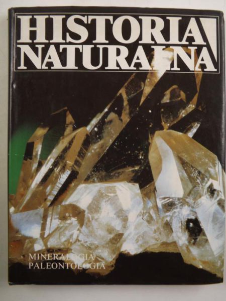Vila Candel Rafael - Historia naturalna