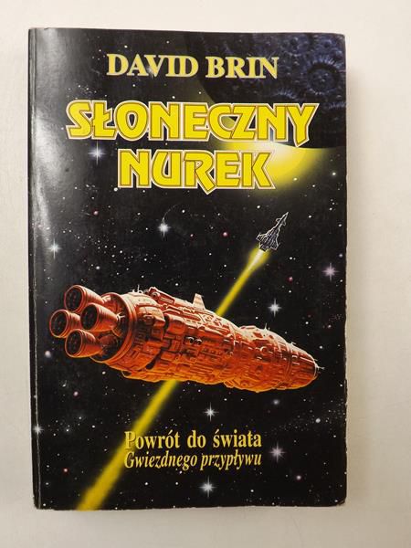 Brin David - Słoneczny nurek