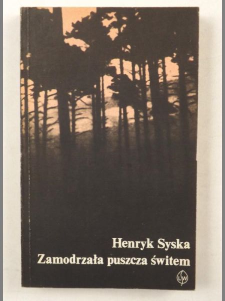 Zamodrzała puszcza świtem