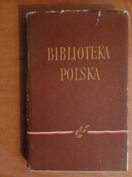 Opowiadania. Biblioteka Polska