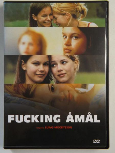 Fucking Amal, DVD