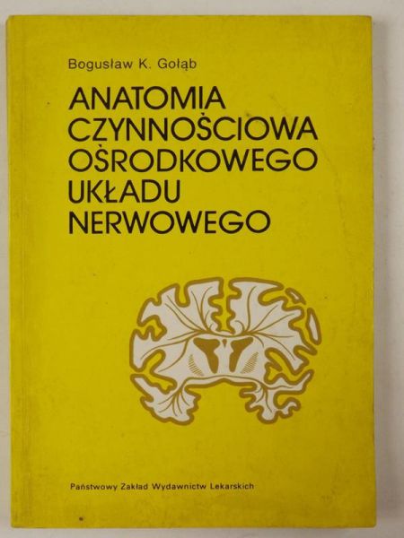 Anatomia czynnościowa ośrodkowego układu nerwowego