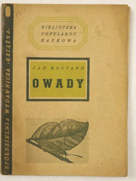 Owady, 1946 r.