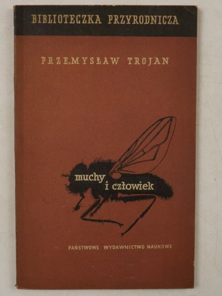 Muchy i człowiek