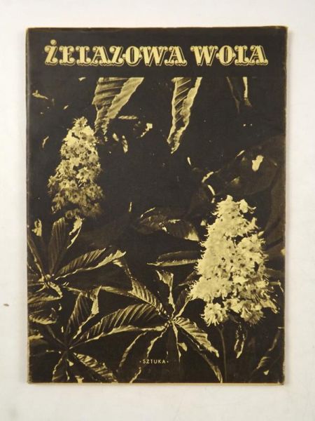 Żelazowa Wola