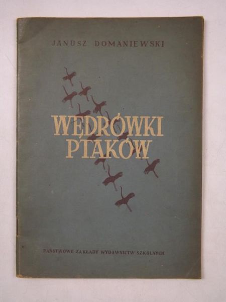 Wędrówki ptaków
