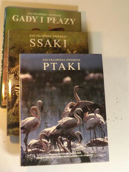 Gady i płazy, Ptaki, Ssaki