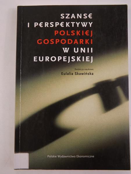Szanse i perspektywy polskiej gospodarki w UE