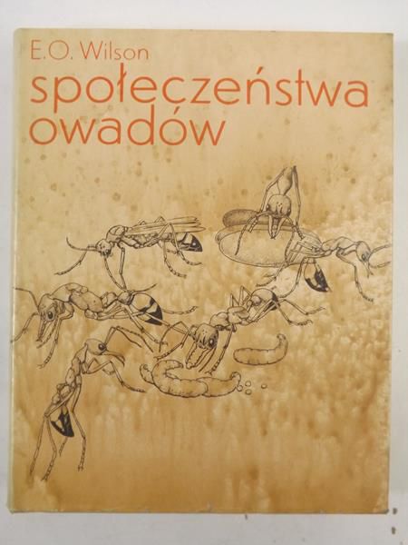 Społeczeństwo owadów