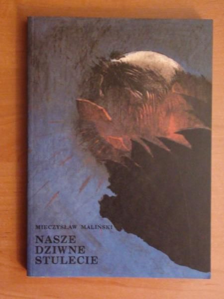 Nasze dziwne stulecie