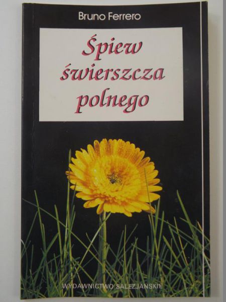 Śpiew świerszcza polnego