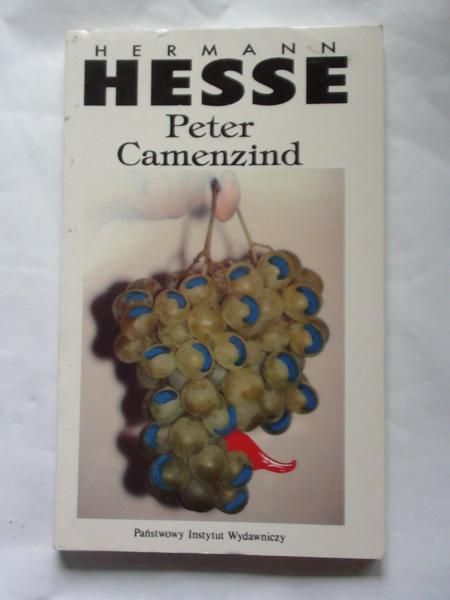 Peter Camenzind