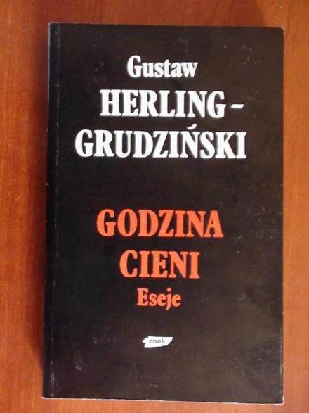 Godzina cieni.Eseje