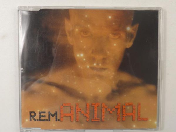 Animal, CD