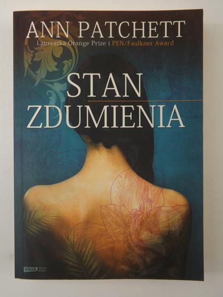 Stan zdumienia