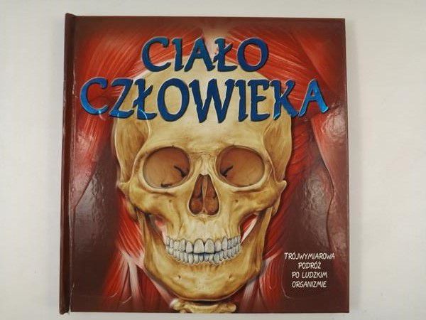 Ciało człowieka