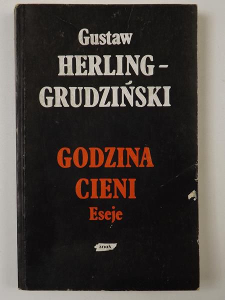 Godzina cieni. Eseje