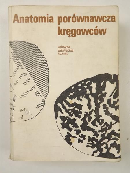 Anatomia porównawcza kręgowców