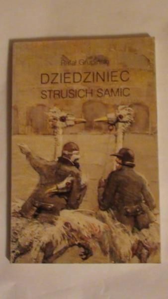 Dziedziniec strusich samic