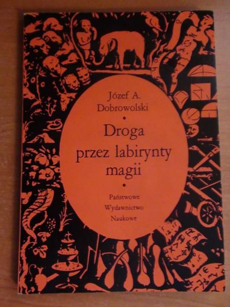 Dobrowolski Józef A. - Droga przez labirynty magii