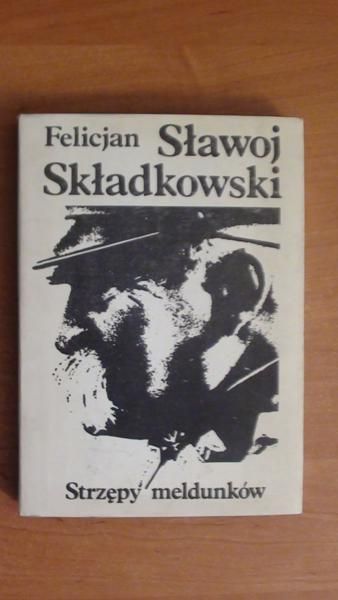 Strzępy meldunków