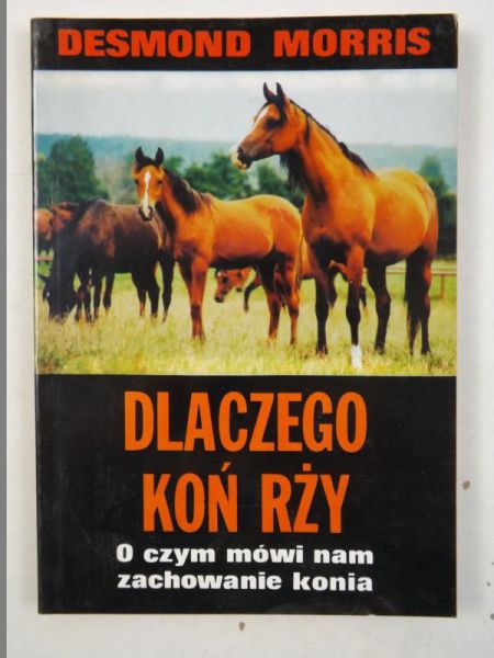 Dlaczego koń rży