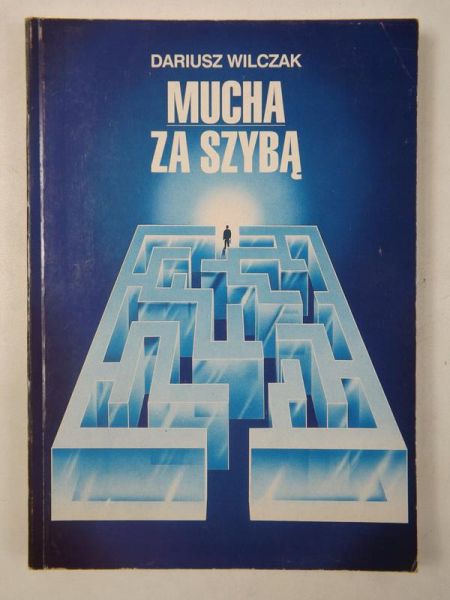 Mucha za szybą