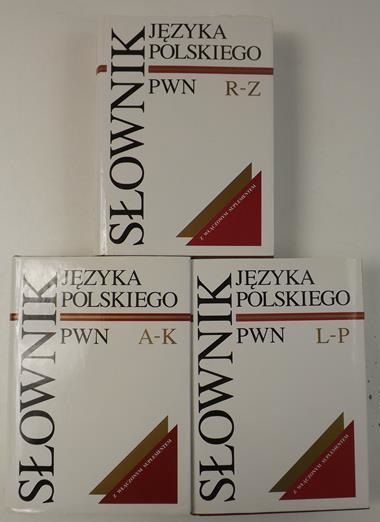 Słownik języka polskiego PWN, Tomy I-III