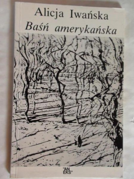 Baśń amerykańska