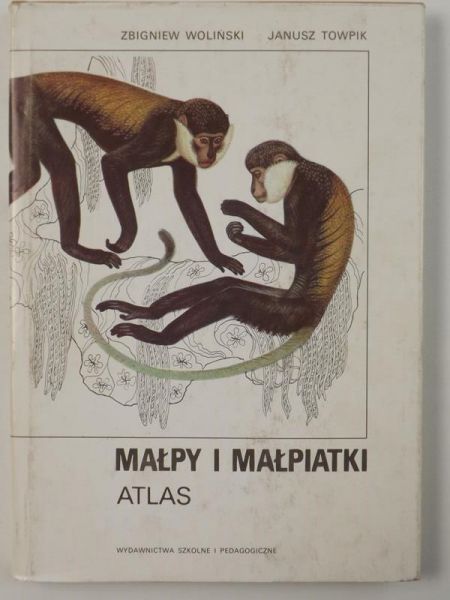 Małpy i małpiatki. Atlas