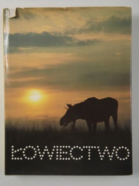 Łowiectwo