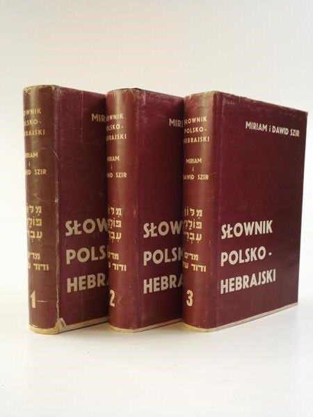 Szr   Dawd - Słownk polsko-hebrajsk, Część I-III Lcytacja unkatu na Allegro!