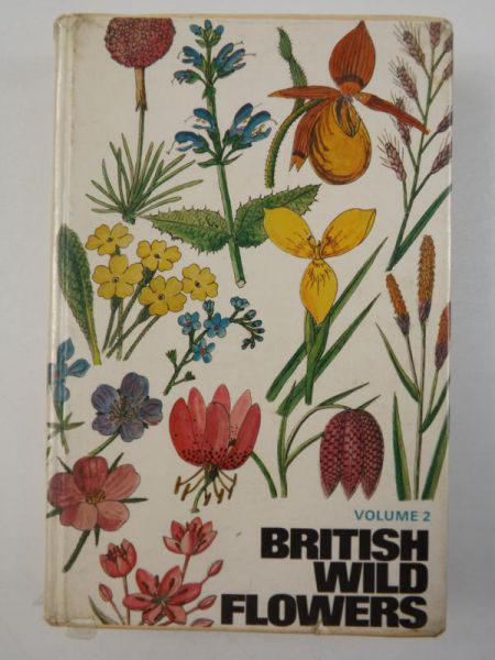 British Wild Flowers