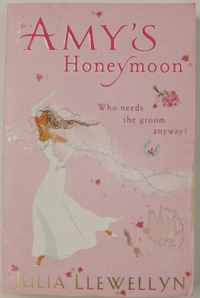 Amy's Honeymoon