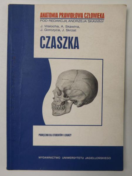 Czaszka