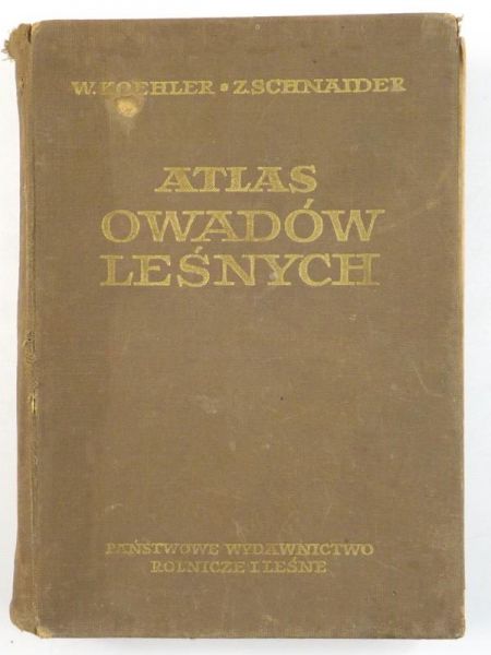Atlas owadów leśnych