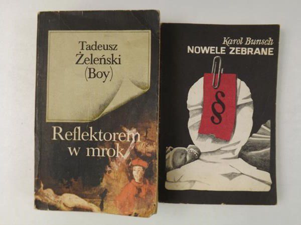 Boy-Żeleński Tadeusz, Bunsch Karol - Reflektorem w mrok / Nowele zebrane