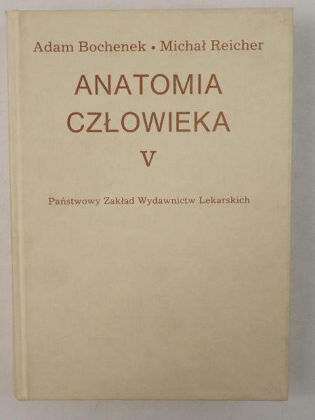 Anatomia człowieka Tom V