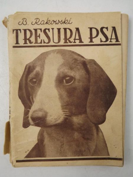 Tresura psa z 19 rysunkami w tekście, 1938 r.