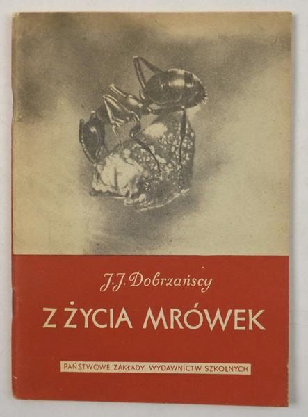 Dobrzańscy J.J. - Z życia mrówek