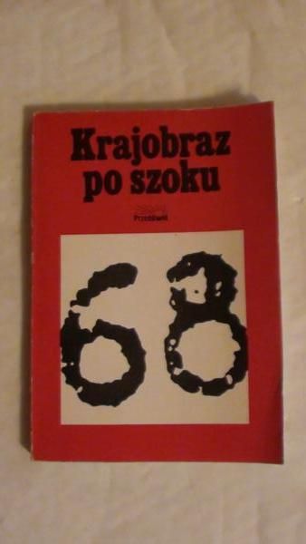 Krajobraz po szoku