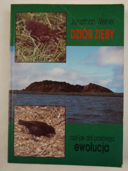 Dziób zięby, czyli jak dziś przebiega ewolucja