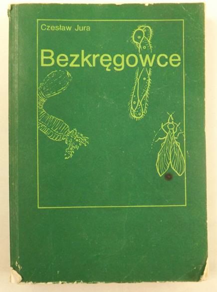 Bezkręgowce