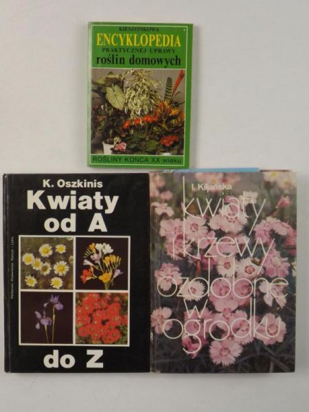 Kiljańska / Oszkinis / Kardasz - Kwiaty i krzewy ozdobne w ogródku / Kwiaty od A do Z / Encyklopedia praktycznej uprawy roślin domowych