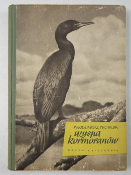 Wyspa kormoranów