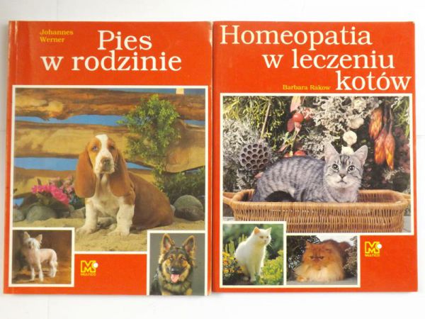 Pies w rodzinie  Homeopatia w leczeniu kotów