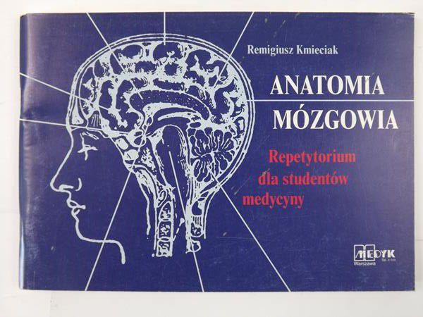 Anatomia mózgowia