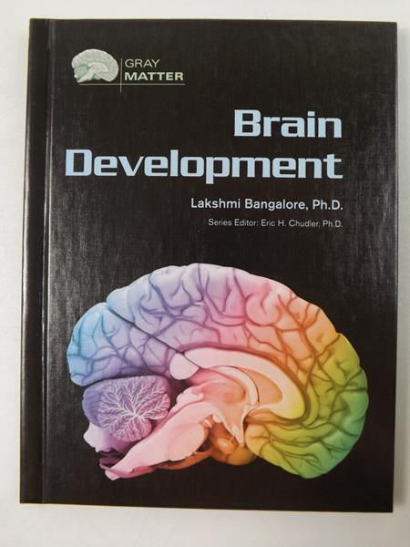 Brain Development